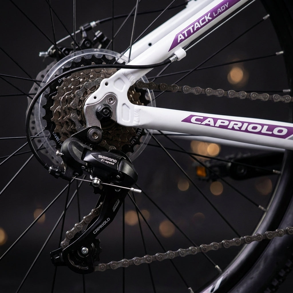 MTB CAPRIOLO ATTACK LADY 26" 2